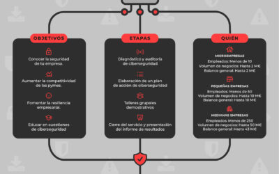 Ayudas para mejorar la ciberseguridad de tu negocio.